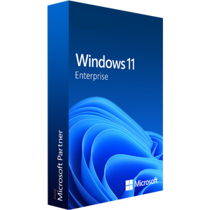 Microsoft Windows 11 Enterprise