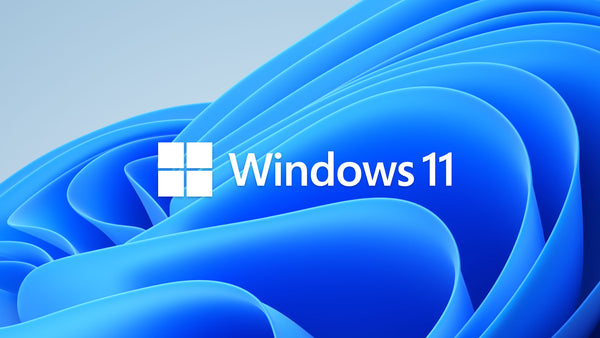 Microsoft Windows 11 Pro